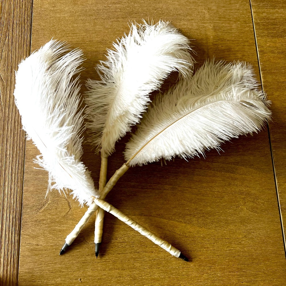 Hand Made Feather Pens